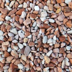 Coralito rondo 12/18